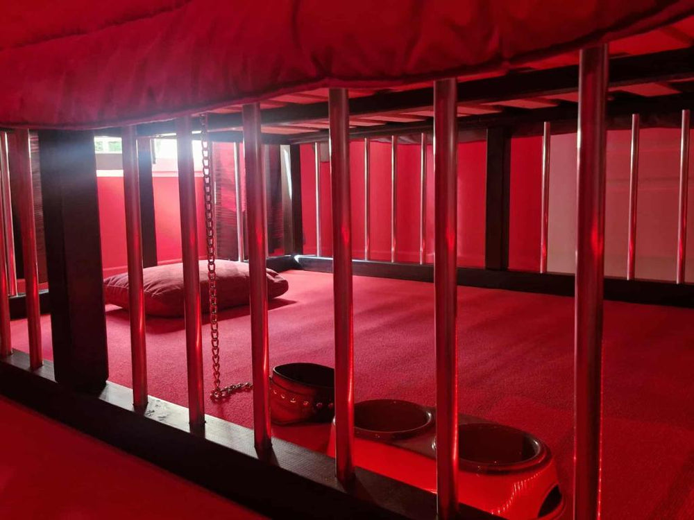 Le Donjon de la Garonne Suite BDSM - Pompignan41 de Le Donjon de la Garonne Suite BDSM
