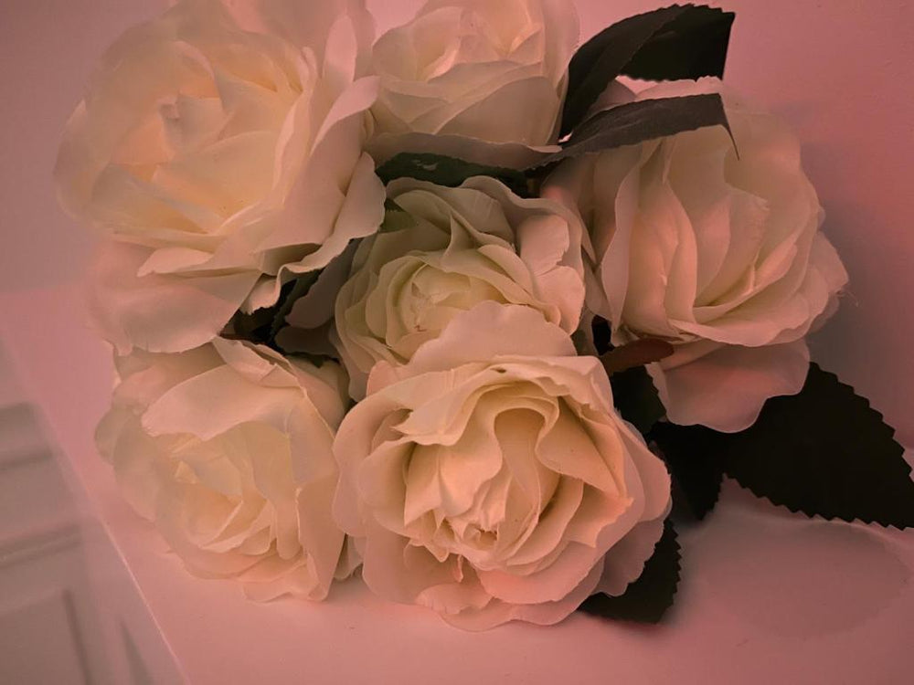 Love Room - La clé des secrets - Gîte Romantique - Nuillé-le-Jalais15 de Love Room - La clé des secrets - Gîte Romantique
