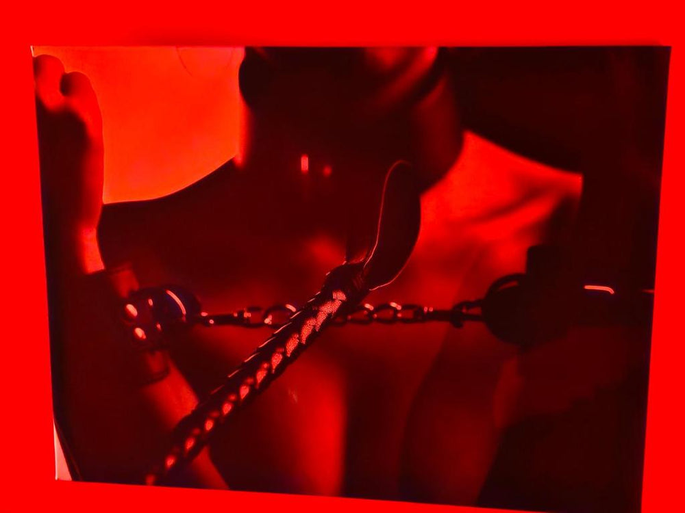 Le Donjon de la Garonne Suite BDSM - Pompignan5 de Le Donjon de la Garonne Suite BDSM
