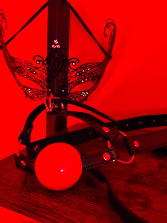 Le Donjon de la Garonne Suite BDSM - Pompignan3 de Le Donjon de la Garonne Suite BDSM
