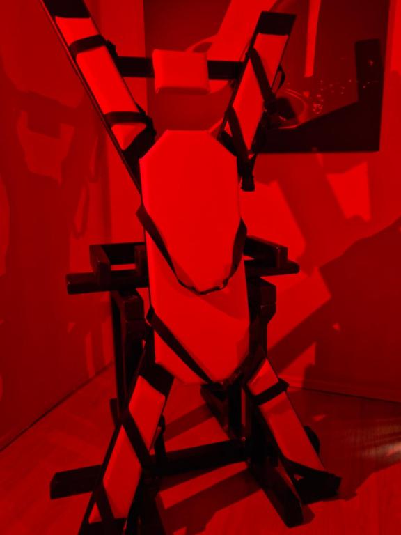 Le Donjon de la Garonne Suite BDSM - Pompignan1 de Le Donjon de la Garonne Suite BDSM
