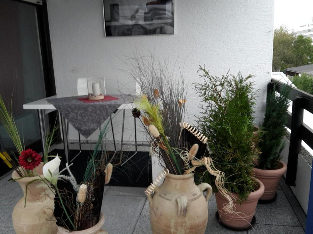 Exclusiv-Mietapartment (BDSM)-Heidelberg - Heidelberg22 de Exclusiv-Mietapartment (BDSM)-Heidelberg
